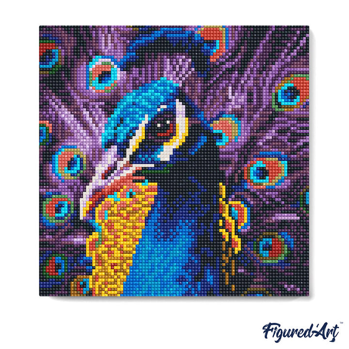 Mini Diamond Painting 25 x 25 cm ohne Keilrahmen Anmutiger Pfau - Kidis Art