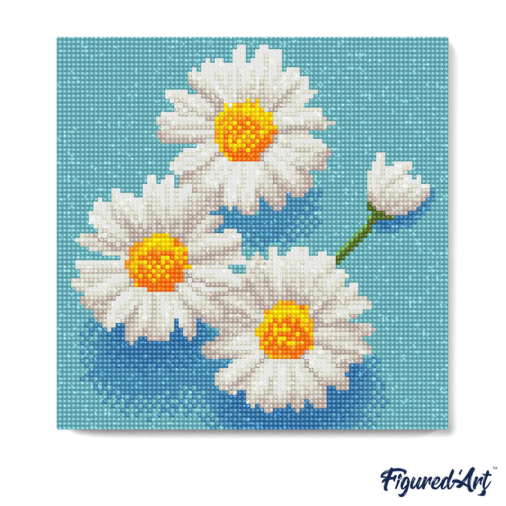 Mini Diamond Painting 25 x 25 cm ohne Keilrahmen Bezaubernde Weisse Gänseblümchen - Kidis Art