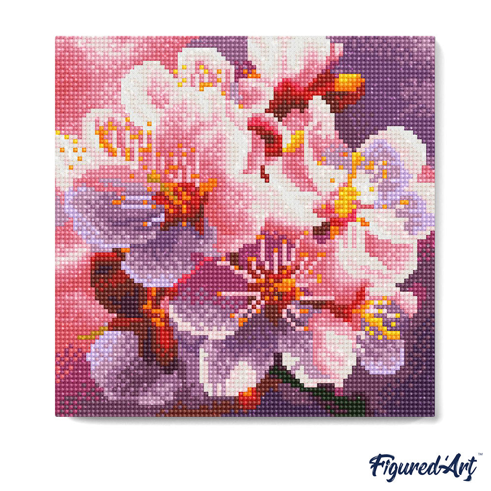 Mini Diamond Painting 25 x 25 cm ohne Keilrahmen Kirschblütenblüte - Kidis Art