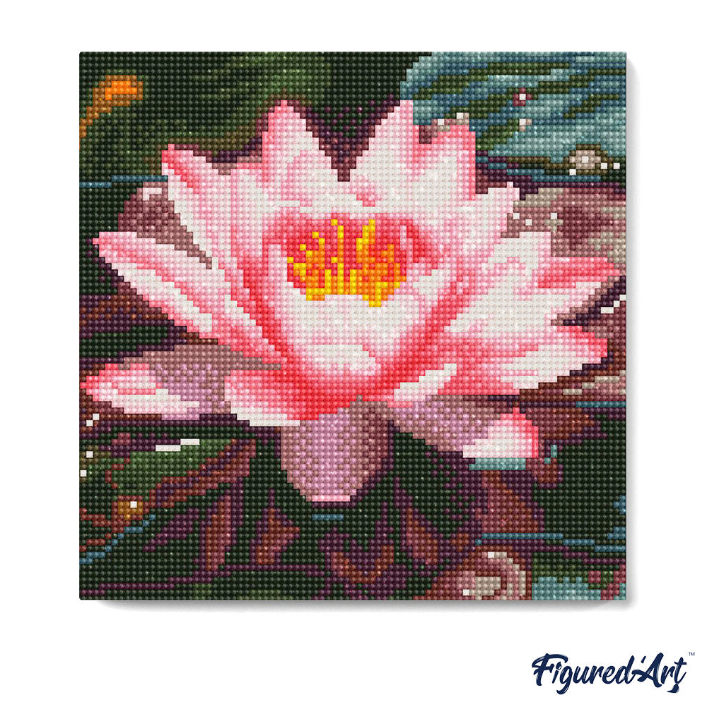 Mini Diamond Painting 25 x 25 cm ohne Keilrahmen Rosa Seerose - Kidis Art