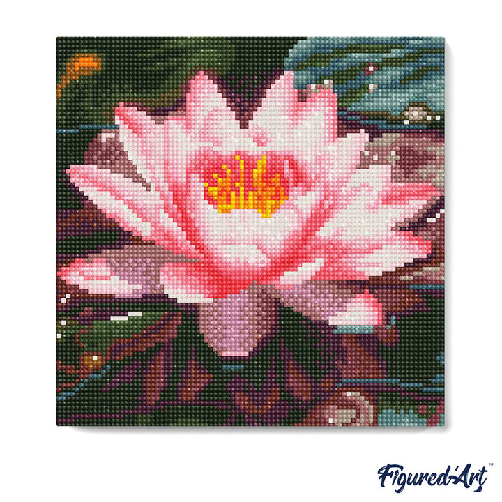 Mini Diamond Painting 25 x 25 cm ohne Keilrahmen Rosa Seerose - Kidis Art