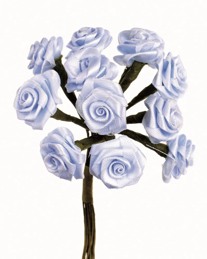 Diorröschen 12 Blüten hellblau, SB-Ausführung
