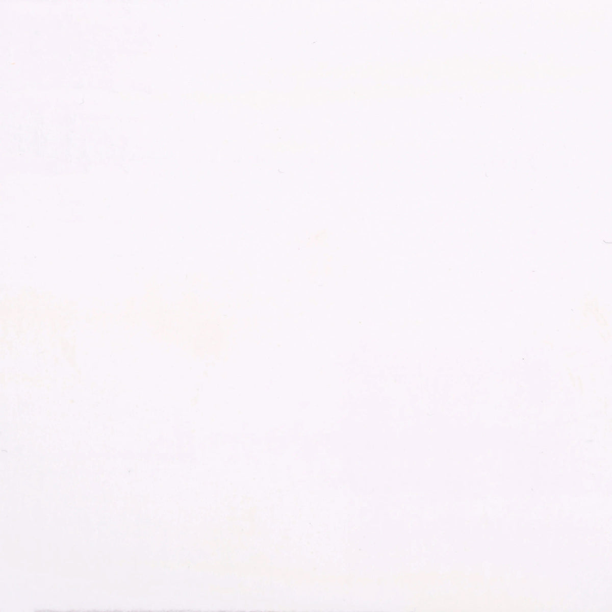 Ecola Plakatfarbe Flasche 250 ml Weiß 100 - Kidis Art
