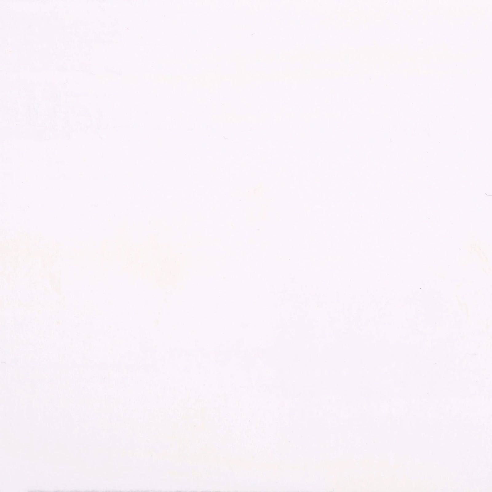 Ecola Plakatfarbe Flasche 500 ml Weiß 100 - Kidis Art