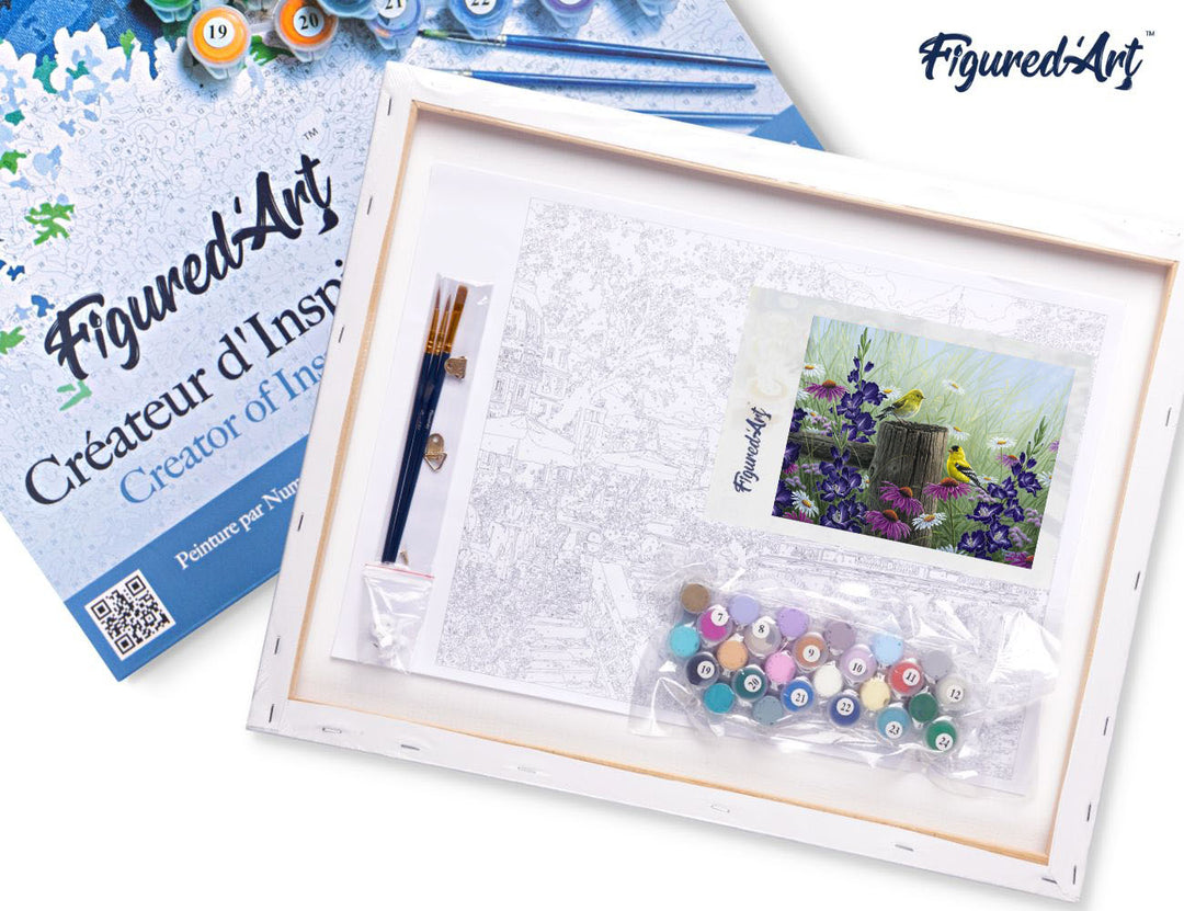 Figured'Art Malen nach Zahlen 40x50cm auf Keilrahmen gespannt Stieglitz Pärchen - Kidis Art