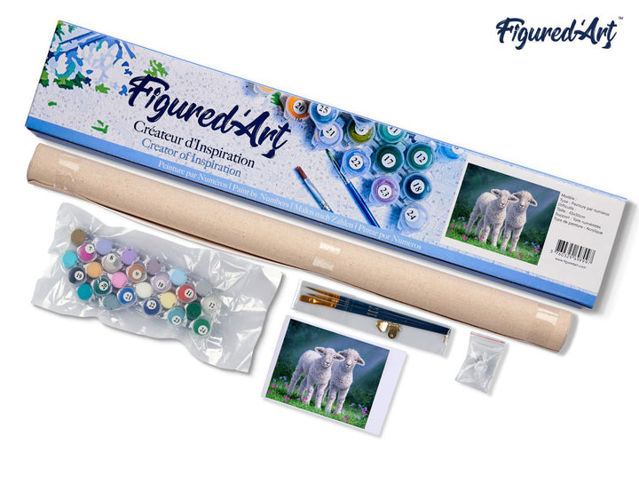 Malen nach Zahlen 40x50cm ohne Keilrahmen Figured’Art Schaf Pärchen