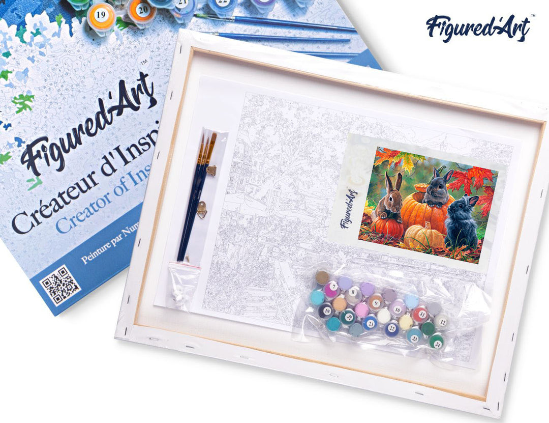 Figured'Art Malen Nach Zahlen 40x50cm Auf Keilrahmen Gespannt Kaninchen-Trio Komplett Mit Farben Pinsel - Kidis Art