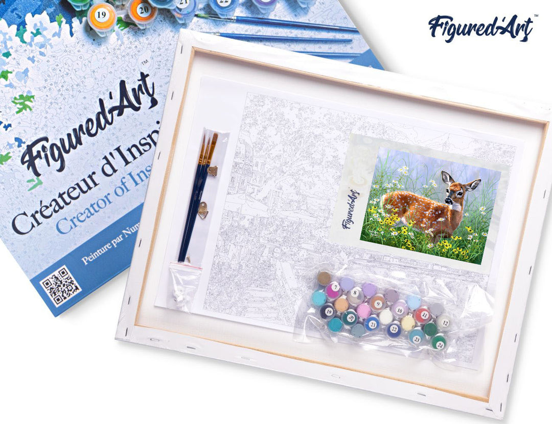 Malen nach Zahlen 40x50cm auf Keilrahmen gespannt Figured’Art Reh auf der Wiese