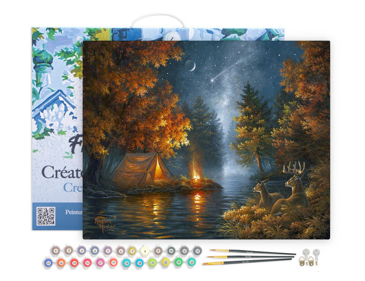 Figured'Art Malen nach Zahlen 40x50cm auf Keilrahmen gespannt Zelten unter dem Sternenhimmel - Kidis Art