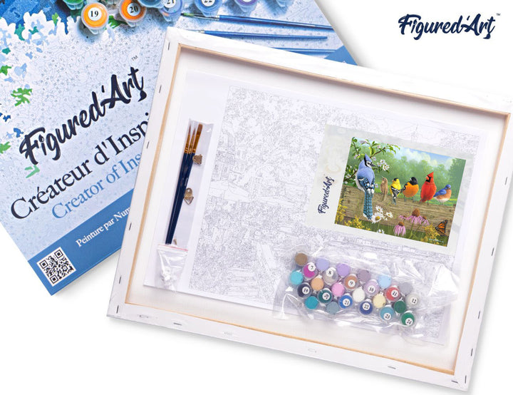 Malen nach Zahlen 40x50cm auf Keilrahmen gespannt Figured’Art Vögel am Zaun - Kidis Art