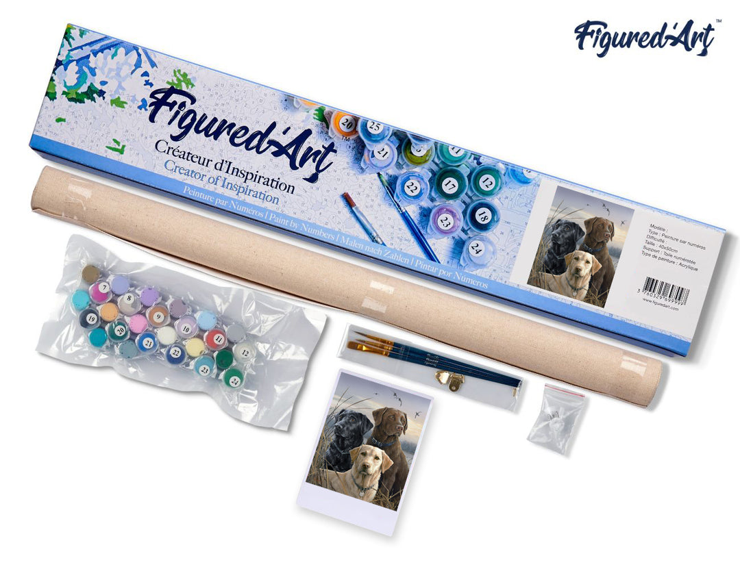 Malen nach Zahlen 40x50cm ohne Keilrahmen Figured’Art Labrador-Trio