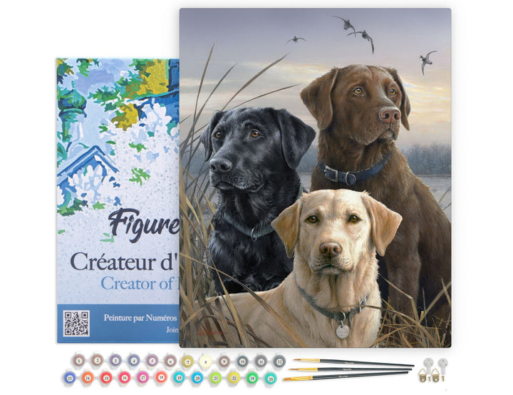 Figured'Art Malen nach Zahlen 40x50cm auf Keilrahmen gespannt Labrador-Trio - Kidis Art