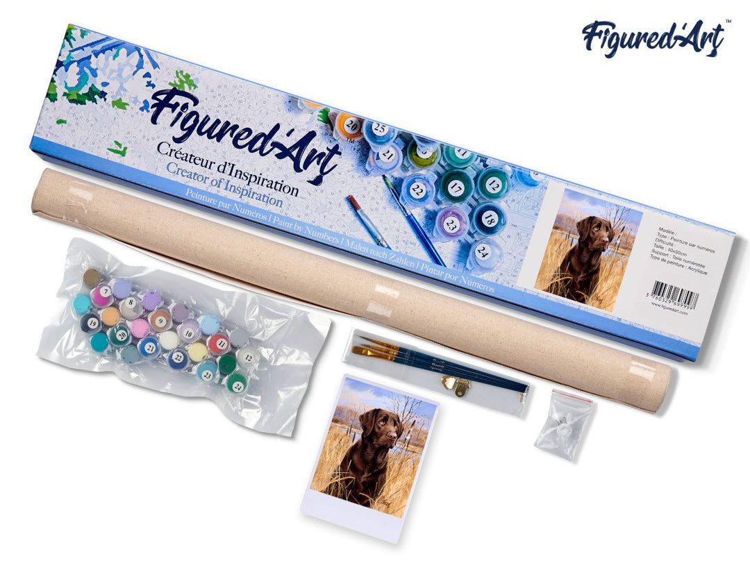 Malen nach Zahlen 40x50cm ohne Keilrahmen Figured’Art Labrador