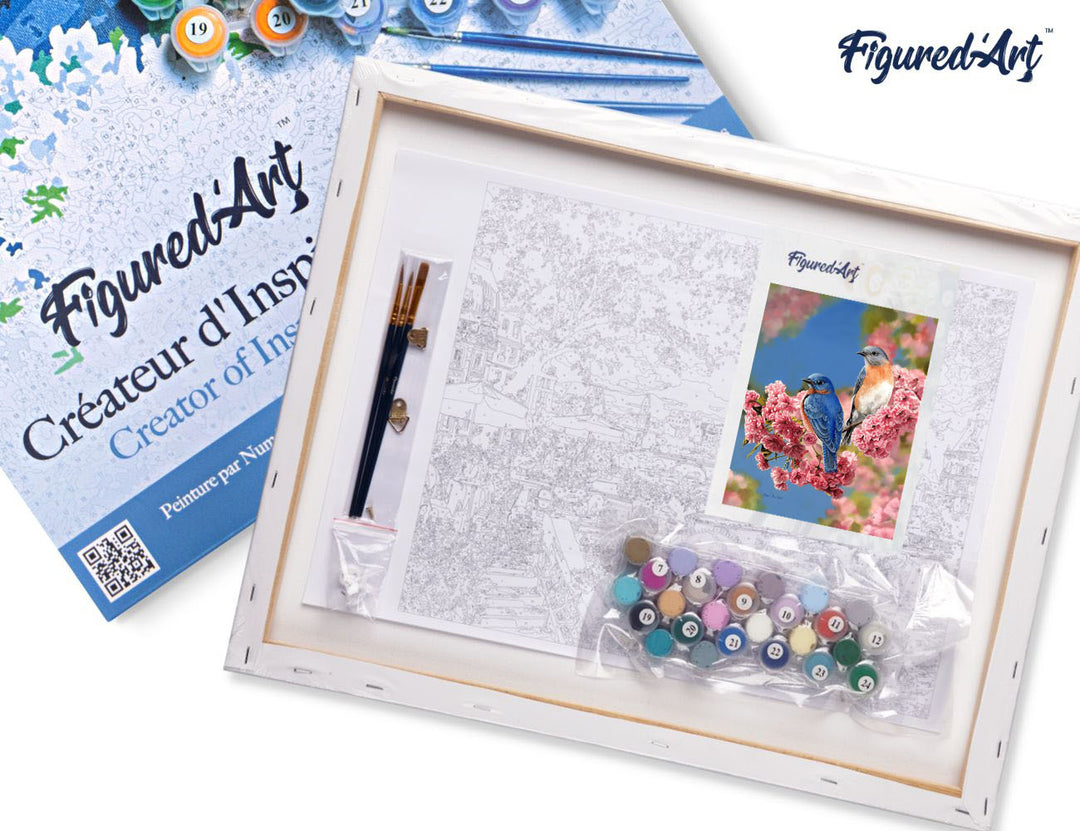 Malen nach Zahlen 40x50cm auf Keilrahmen gespannt Figured’Art Blaues Vogelpärchen