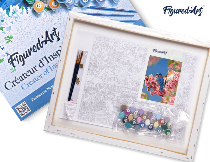 Malen nach Zahlen 40x50cm auf Keilrahmen gespannt Figured’Art Blaues Vogelpärchen