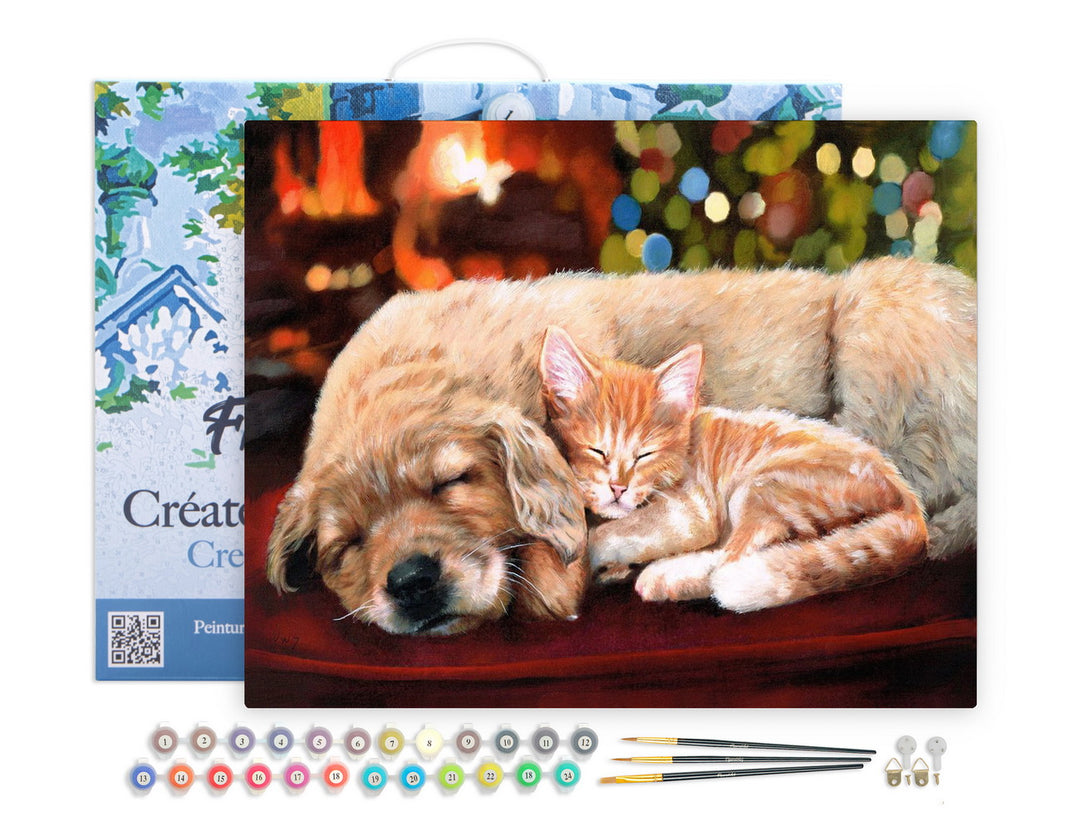 Figured'Art Malen nach Zahlen 40x50cm auf Keilrahmen gespannt Kuscheliges Nickerchen - Kidis Art