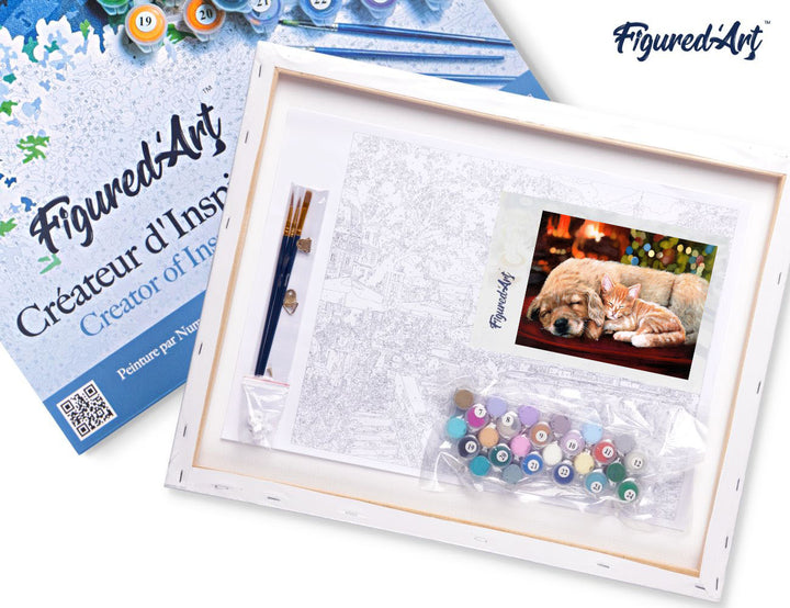 Figured'Art Malen nach Zahlen 40x50cm auf Keilrahmen gespannt Kuscheliges Nickerchen - Kidis Art