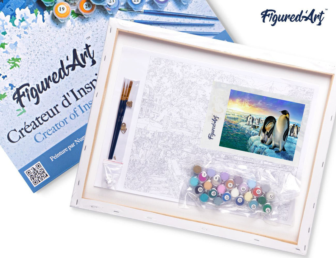 Figured'Art Malen Nach Zahlen 40x50 cm Auf Keilrahmen Vorgedruckte Leinwand Mit Acrylfarben Pinguine Auf Eisschollen - Kidis Art