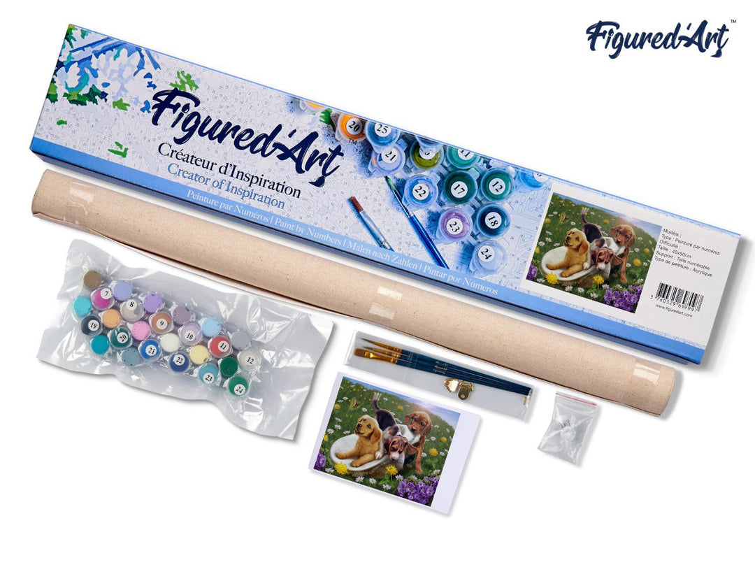 Malen nach Zahlen 40x50cm ohne Keilrahmen Figured’Art Spielende Hunde