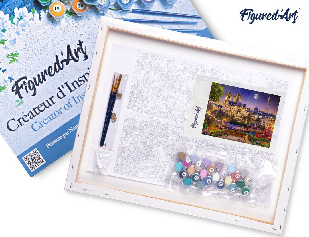 Malen nach Zahlen 40x50cm auf Keilrahmen gespannt Figured’Art Notre Dame unter den Sternen