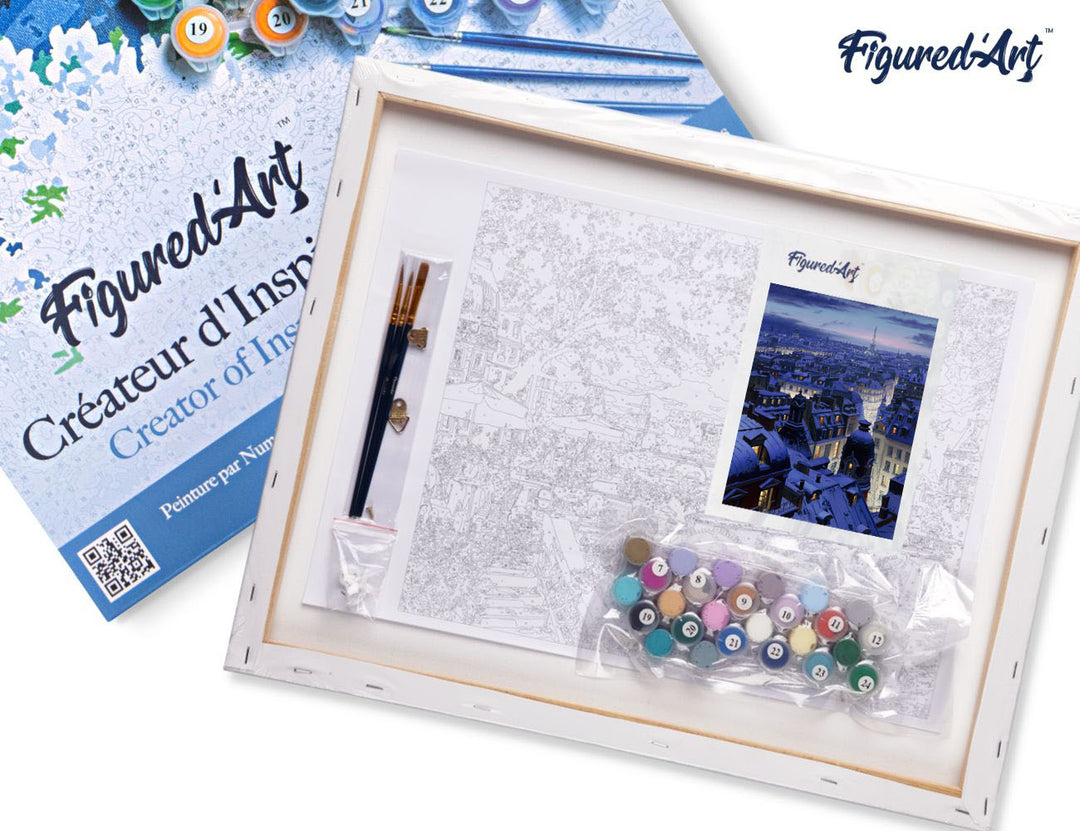 Malen nach Zahlen 40x50cm auf Keilrahmen gespannt Figured’Art Dächer in Paris