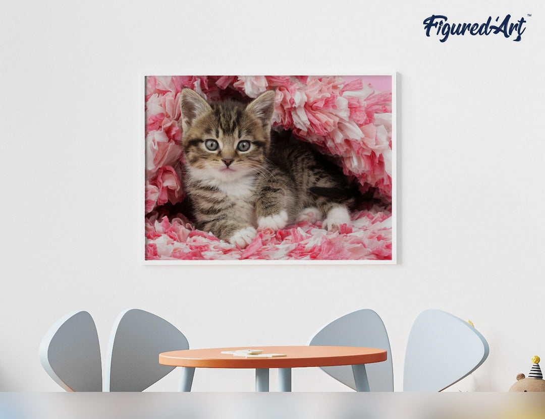 Figured'Art Malen nach Zahlen 40x50cm auf Keilrahmen gespannt Katze unter Decke - Kidis Art