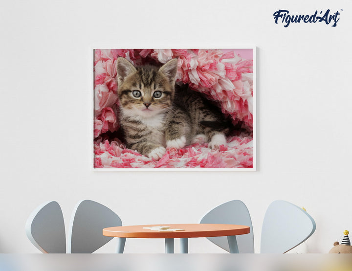 Figured'Art Malen nach Zahlen 40x50cm auf Keilrahmen gespannt Katze unter Decke - Kidis Art