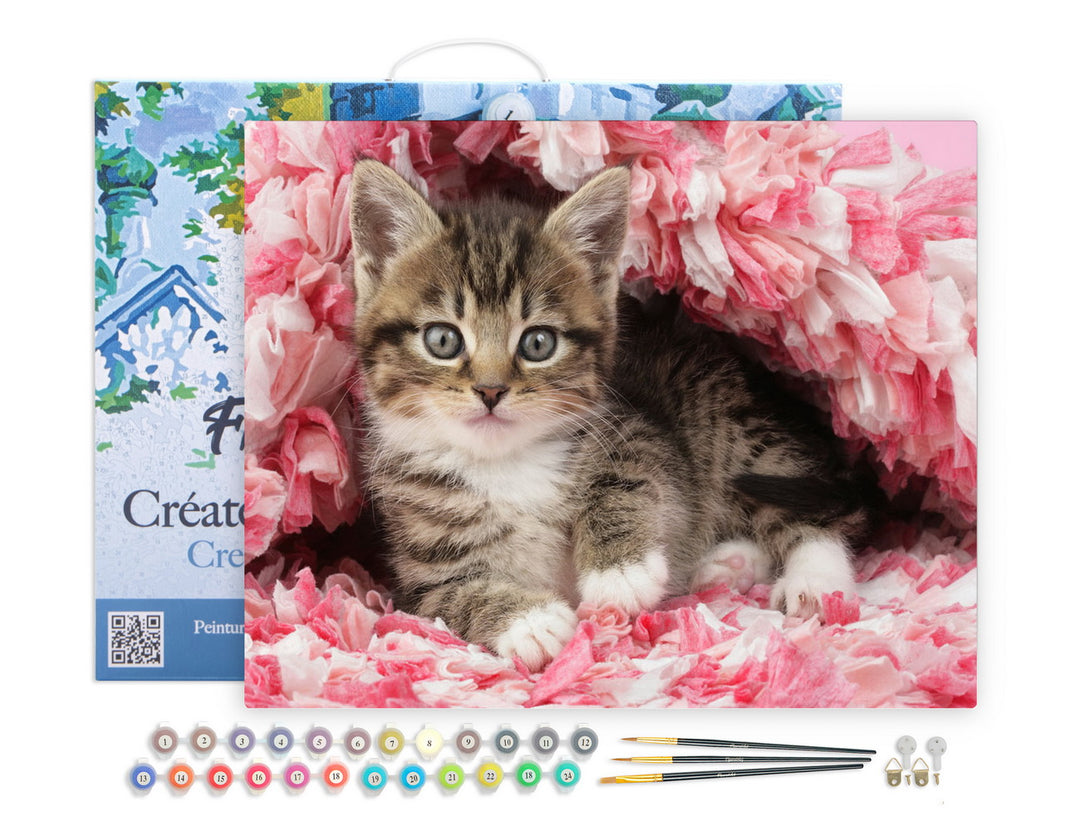 Figured'Art Malen nach Zahlen 40x50cm auf Keilrahmen gespannt Katze unter Decke - Kidis Art