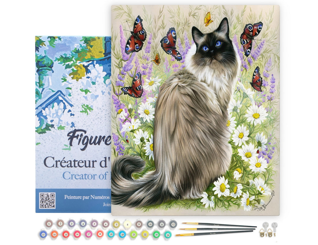 Figured'Art Malen Nach Zahlen 40x50 cm Keilrahmen Katze Und Schmetterlinge Komplett-Set - Kidis Art