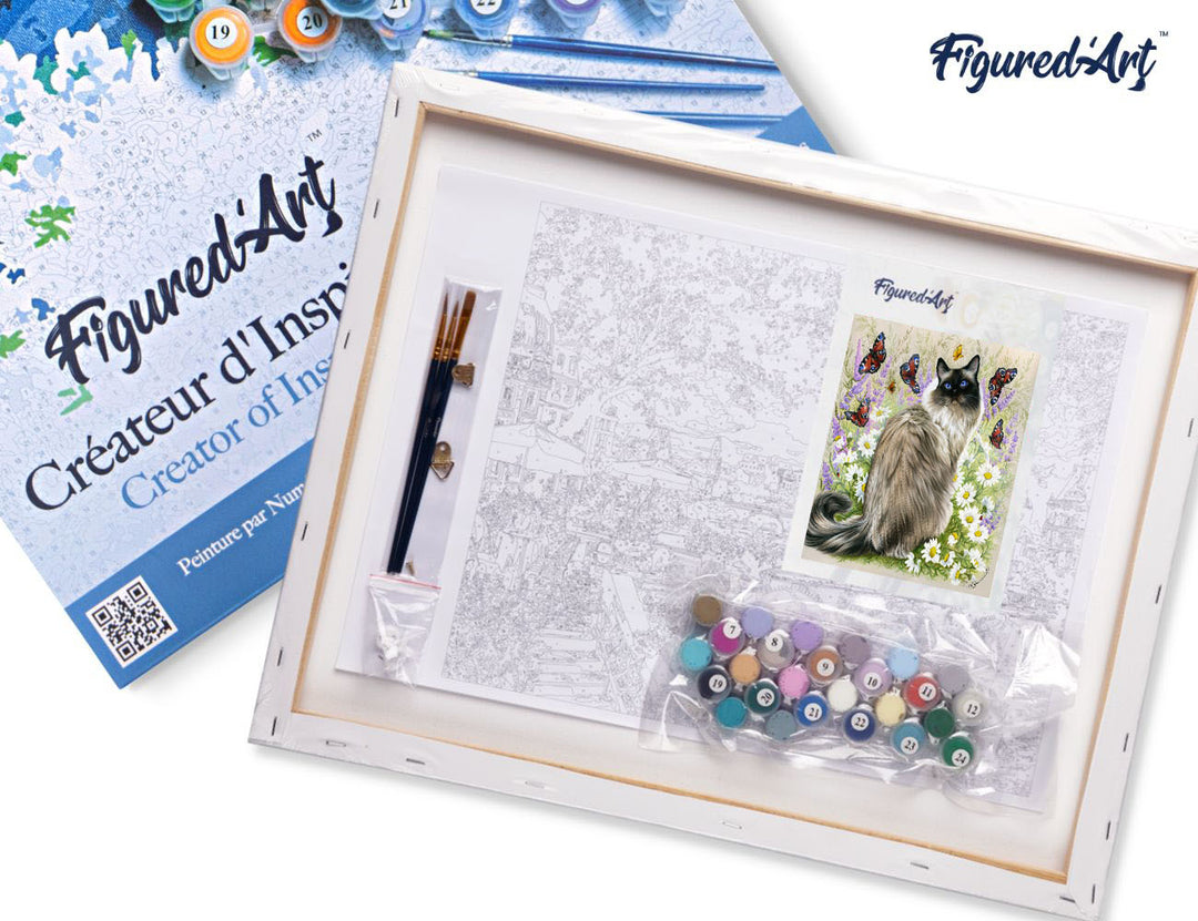 Figured'Art Malen Nach Zahlen 40x50 cm Keilrahmen Katze Und Schmetterlinge Komplett-Set - Kidis Art