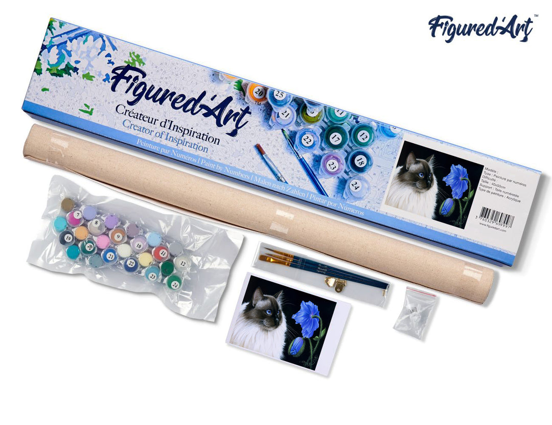 Malen nach Zahlen 40x50cm ohne Keilrahmen Figured’Art Katze und Blume