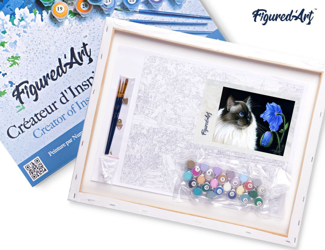 Figured'Art Malen nach Zahlen 40x50cm auf Keilrahmen gespannt Katze und Blume - Kidis Art