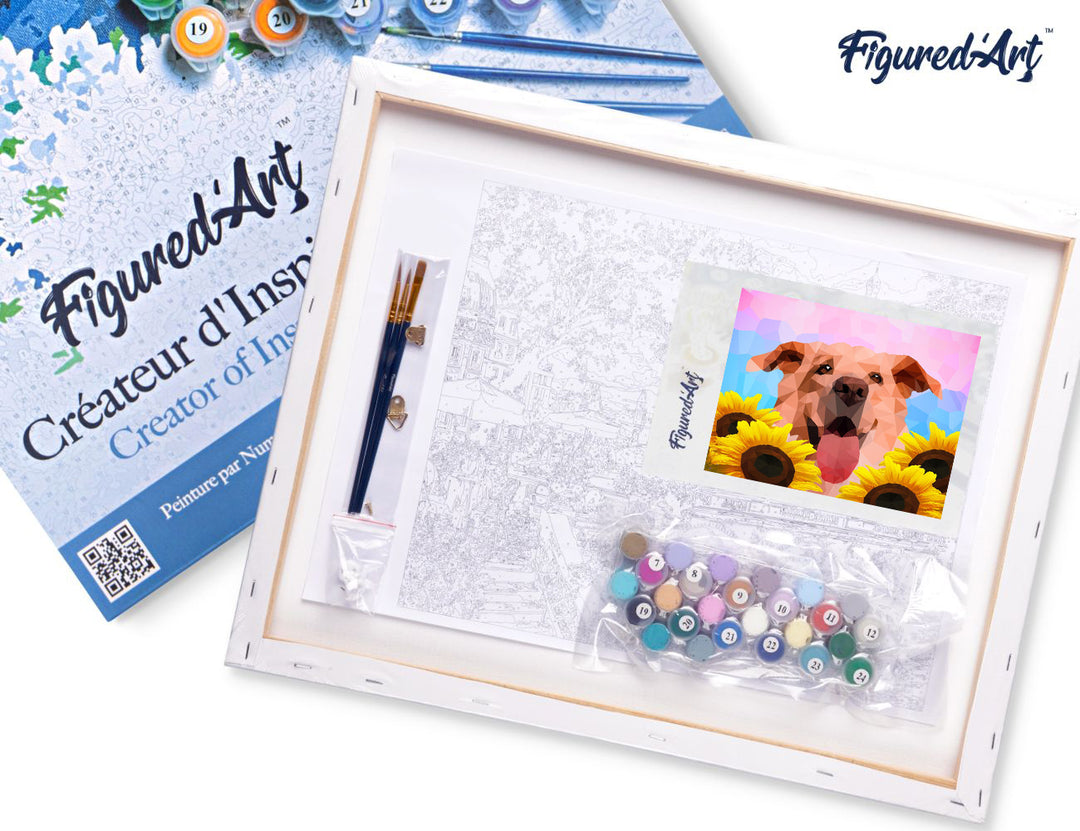 Malen nach Zahlen 40x50cm auf Keilrahmen gespannt Figured’Art Hund Polygon Art