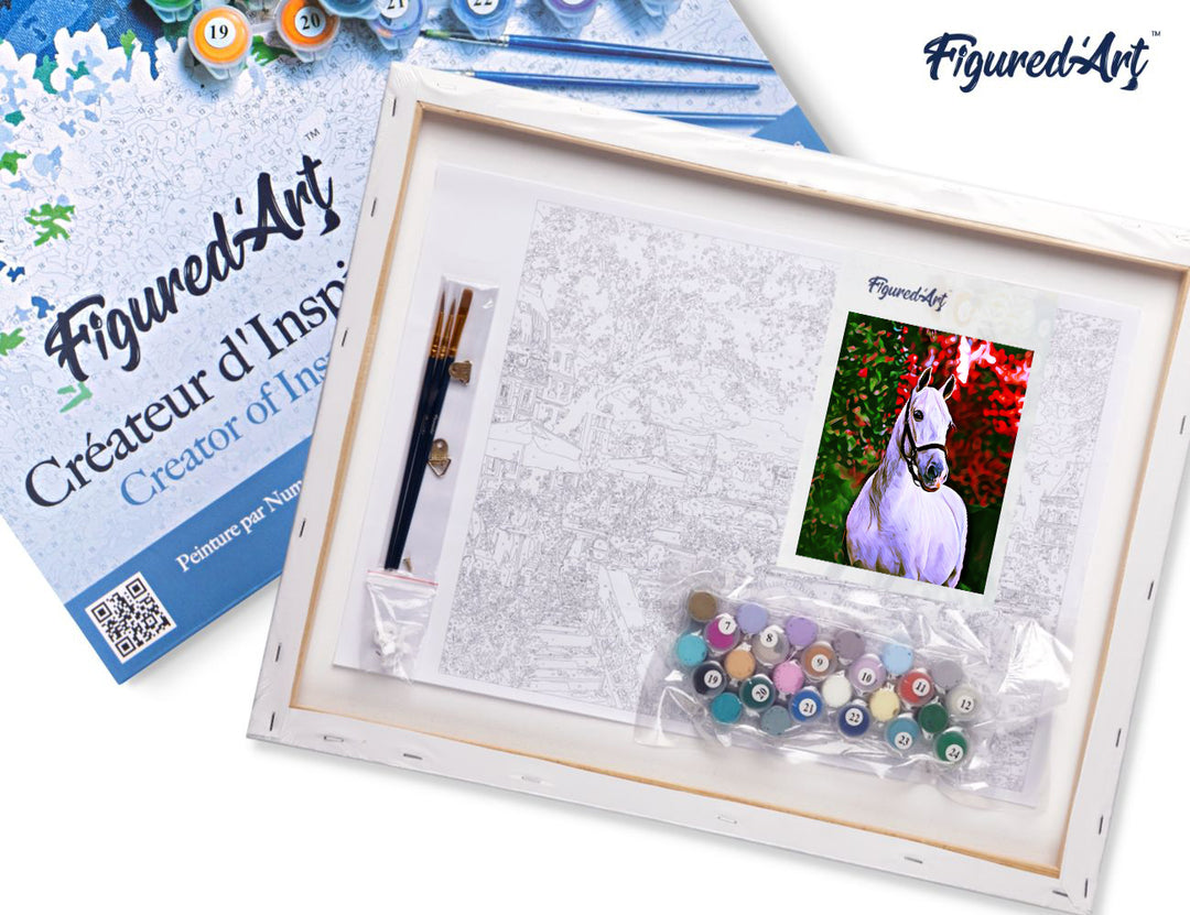 Malen nach Zahlen 40x50cm auf Keilrahmen gespannt Figured’Art Weisses Pferd - Kidis Art