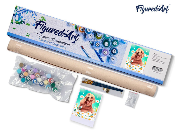 Malen nach Zahlen 40x50cm ohne Keilrahmen Figured’Art Golden Retriever