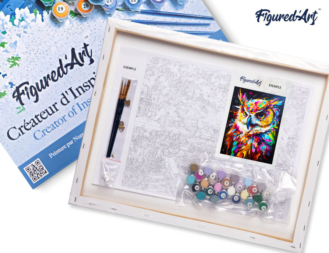 Malen nach Zahlen 40x50cm auf Keilrahmen gespannt Figured’Art Eule Farbenfroh Abstrakt