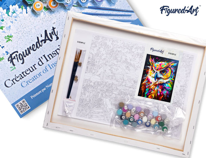 Malen nach Zahlen 40x50cm auf Keilrahmen gespannt Figured’Art Eule Farbenfroh Abstrakt