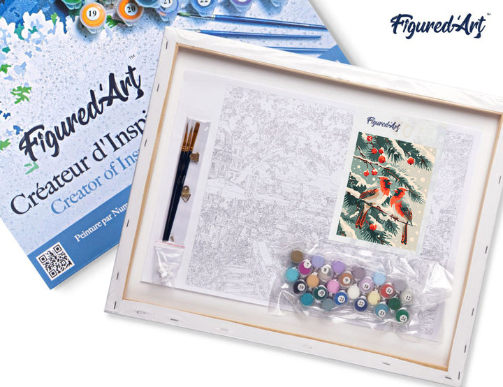 Malen nach Zahlen 40x50cm auf Keilrahmen gespannt Figured’Art Winterkardinal