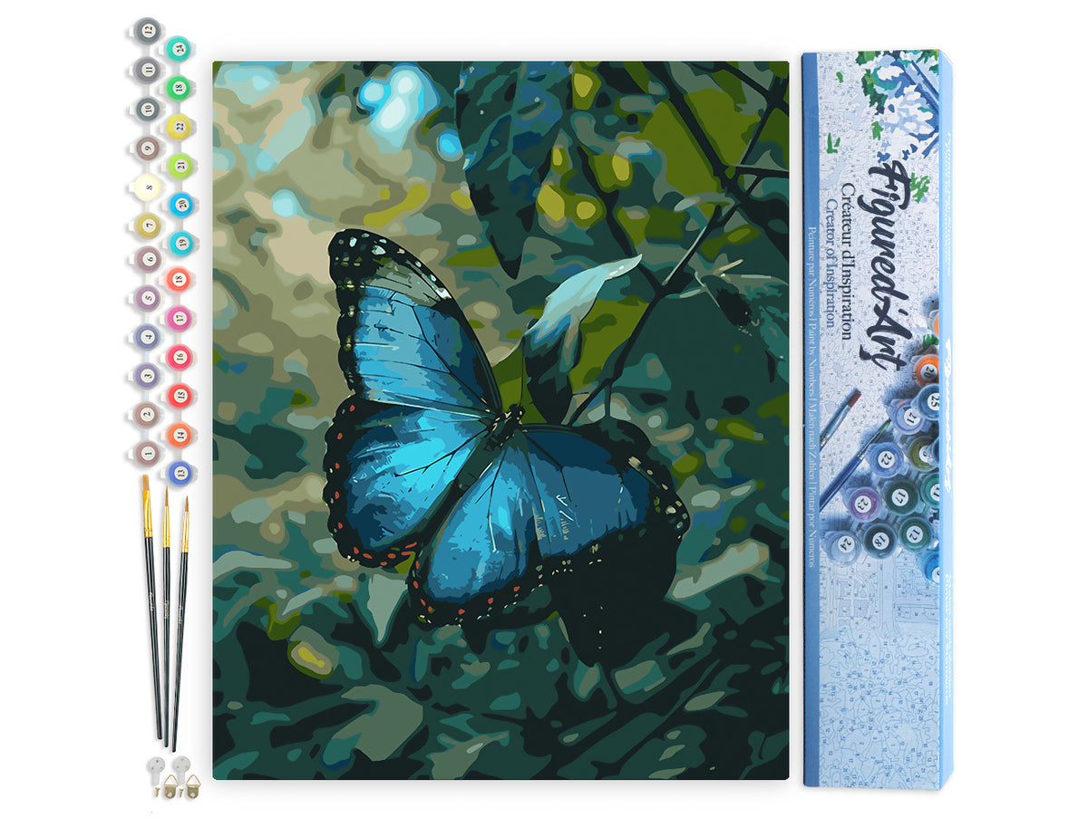 Malen nach Zahlen 40x50cm ohne Keilrahmen Figured’Art Blauer Morpho Schmetterling - Kidis Art