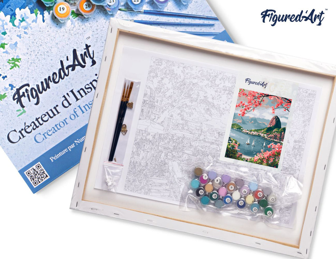 Malen nach Zahlen 40x50cm auf Keilrahmen gespannt Figured’Art Hafen von Rio de Janeiro