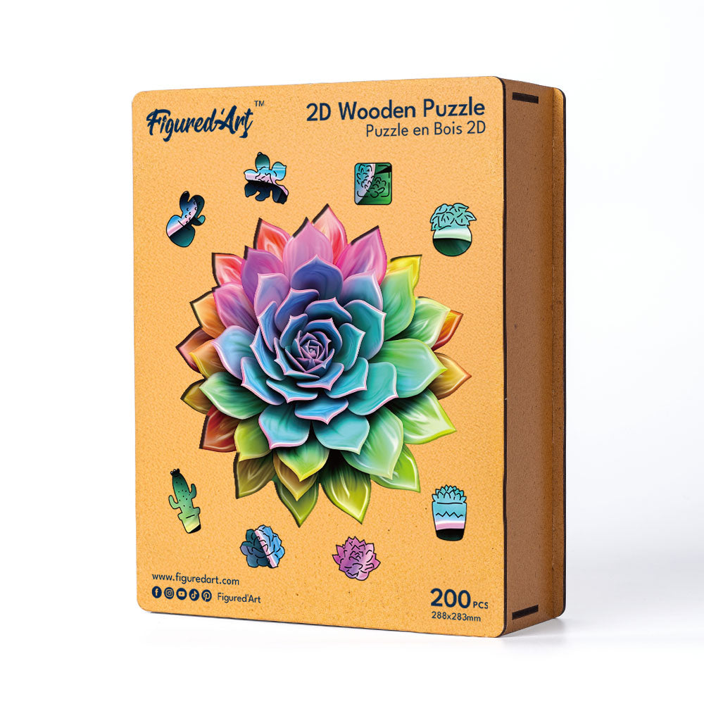 Holzpuzzle 2D Design – Regenbogen-Sukkulente - Kidis Art
