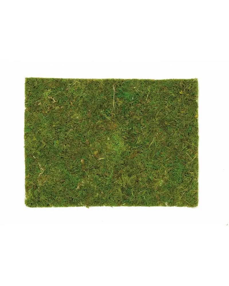 Moosplatte 30x20cm - Kidis Art