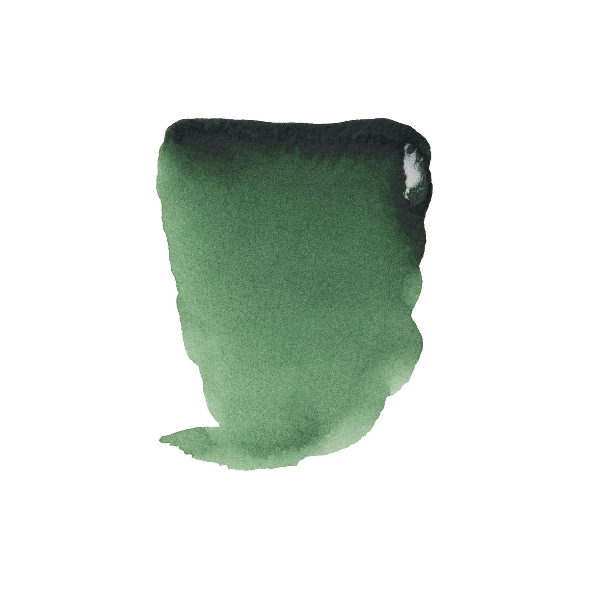 Rembrandt Aquarellfarbe Näpfchen Hookergrün Dunkel 645 - Kidis Art