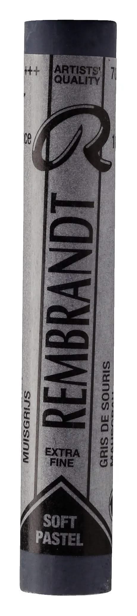 Rembrandt Weiche Pastell Openstock Mausgrau 707.7 - Kidis Art
