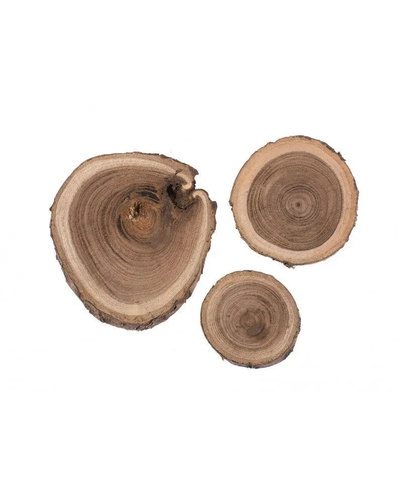 Robinienholz Scheiben 80g 3-6cm