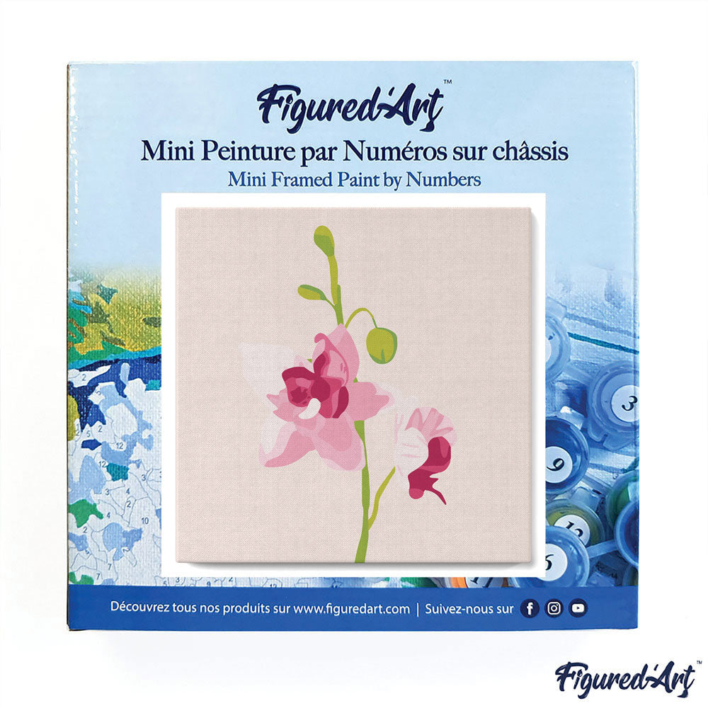 Mini Malen nach Zahlen mit Rahmen 20x20cm - Orchidee - Kidis Art