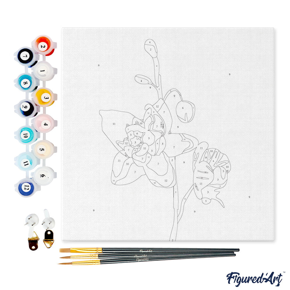 Mini Malen nach Zahlen mit Rahmen 20x20cm - Orchidee - Kidis Art
