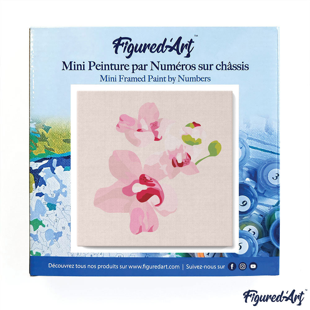Mini Malen nach Zahlen mit Rahmen 20x20cm - Orchideenblumen - Kidis Art