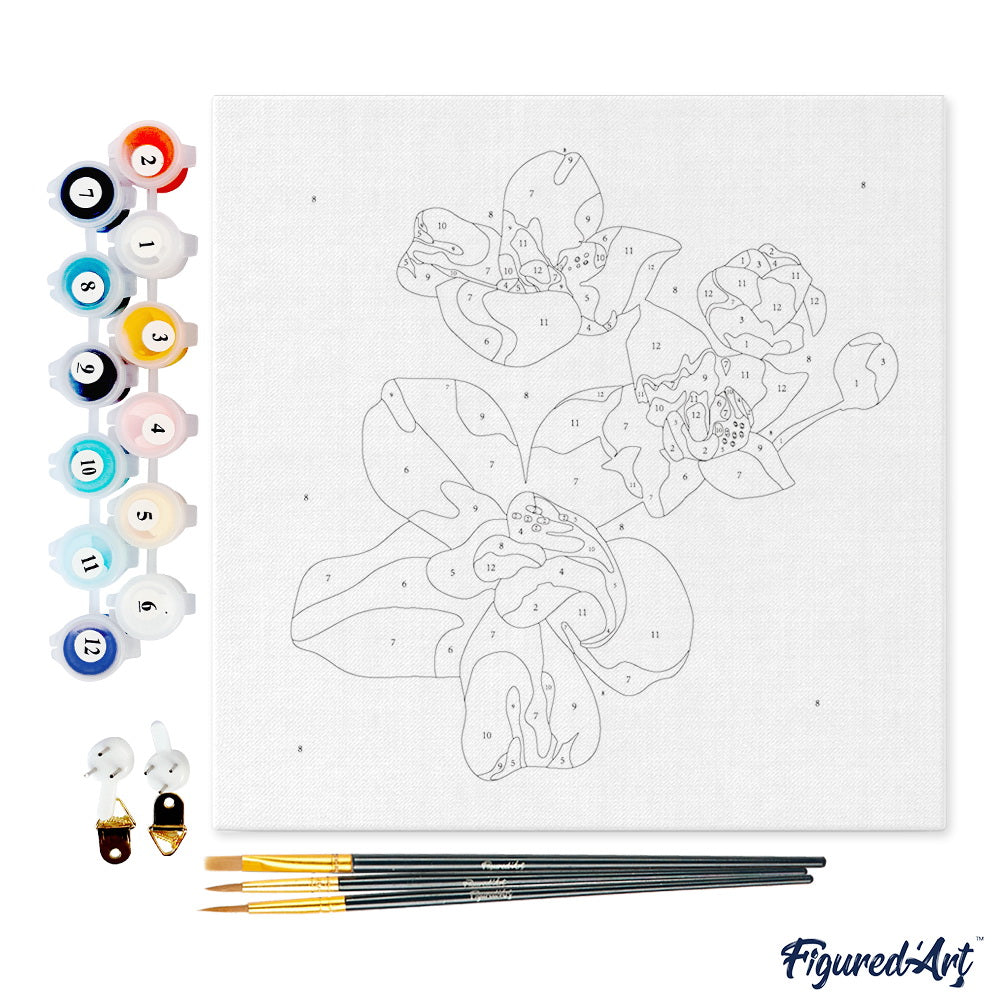 Mini Malen nach Zahlen mit Rahmen 20x20cm - Orchideenblumen