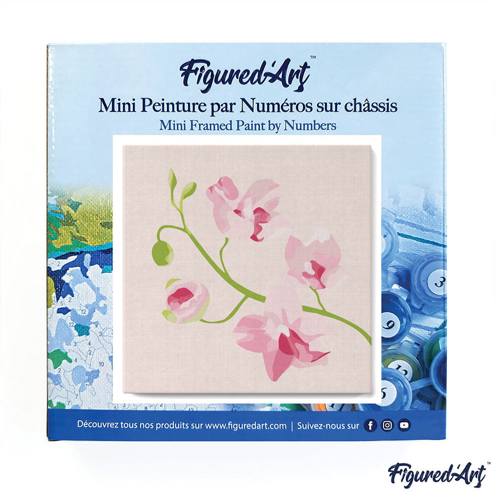 Mini Malen nach Zahlen mit Rahmen 20x20cm - Orchideenzweig - Kidis Art